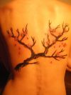 cherry blossom tree back tattoo pic